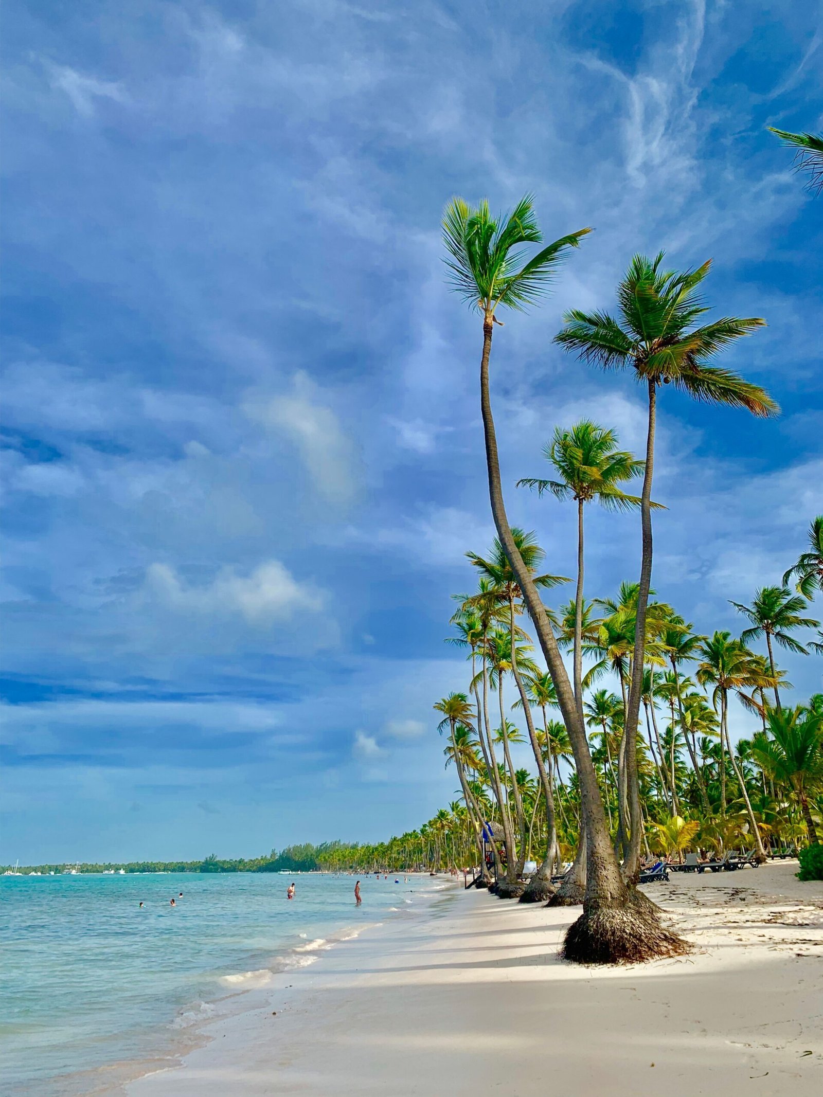 Entorno tropical premium para propiedades e inversión en Punta Cana